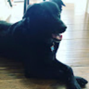 Meet your Posher, Leah